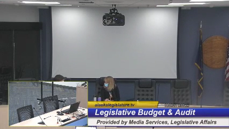 Legislative Budget & Audit - preview image