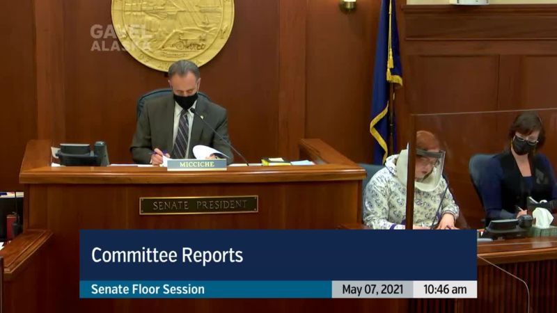 Senate Floor Session - preview image