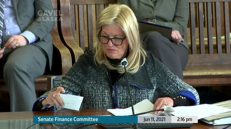 Senate Finance Committee - preview image