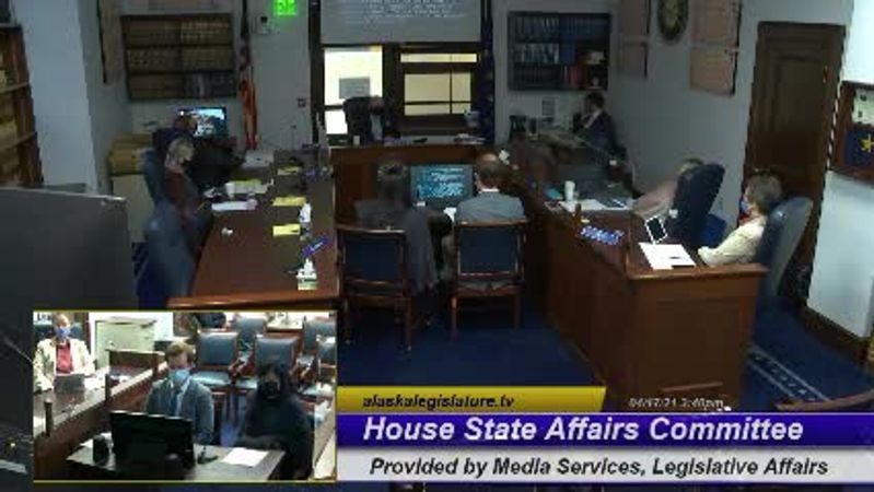 House State Affairs Committee - preview image