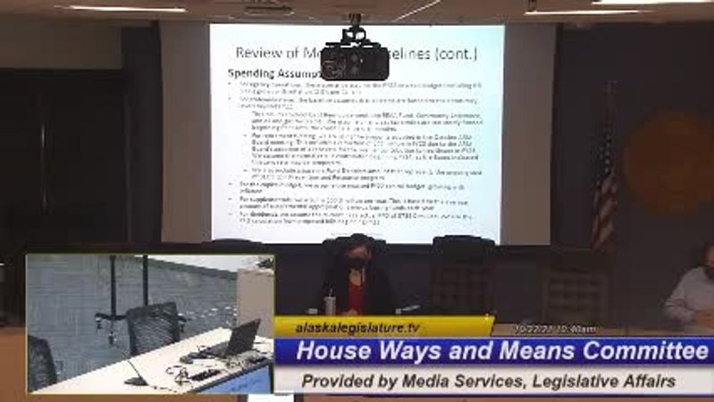 House Ways & Means Special Committee - preview image