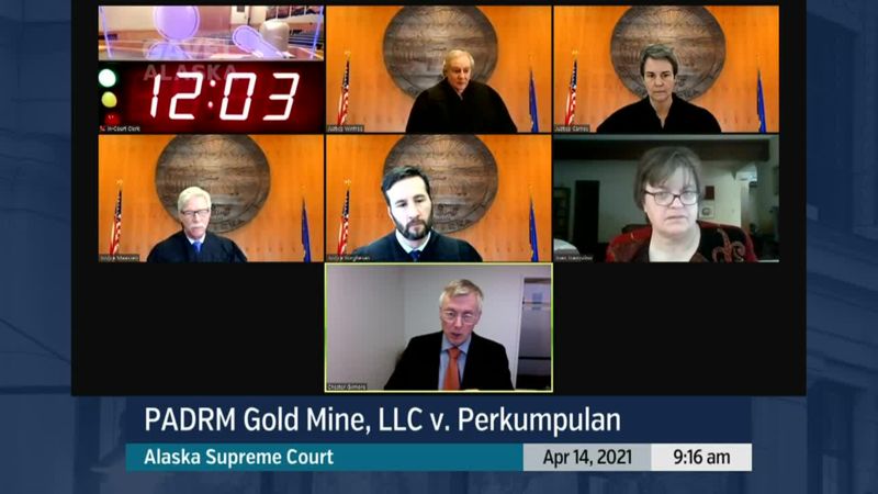 PADRM Gold Mine, LLC v. Perkumpulan - preview image