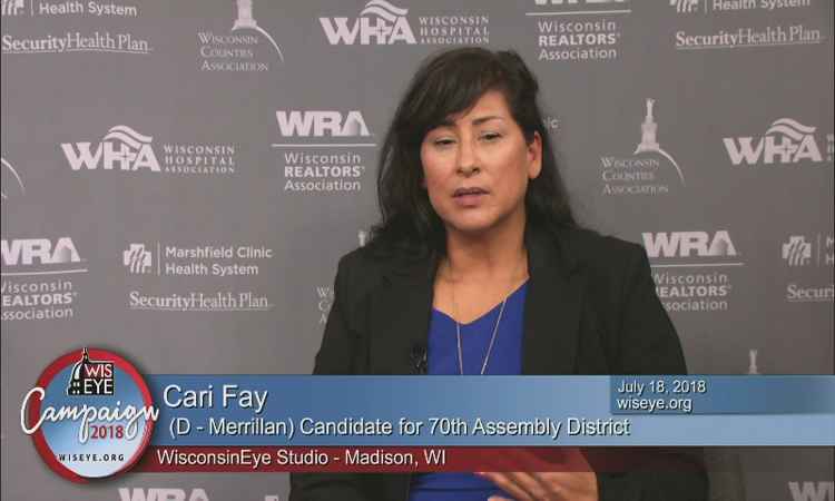 Campaign 2018: Cari Fay (D) Candidate for 70th Assembly District ...