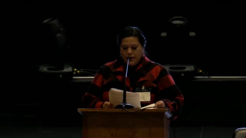 Missing And Murdered Indigenous Women And People Task Force Tvw