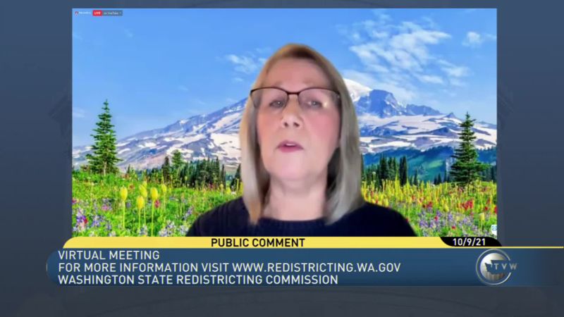Washington State Redistricting Commission