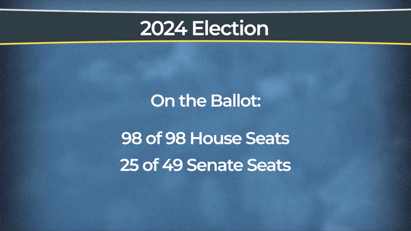 The Impact – 2024 Election Takeaways from Early Returns