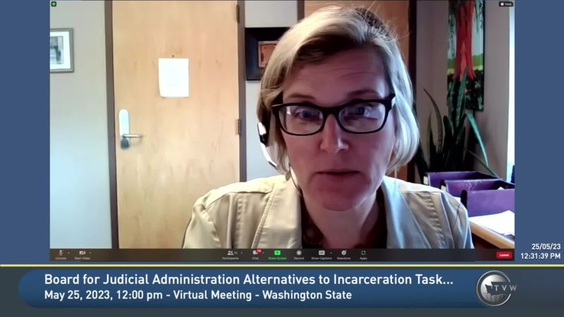 Board for Judicial Administration Alternatives to Incarceration Task Force