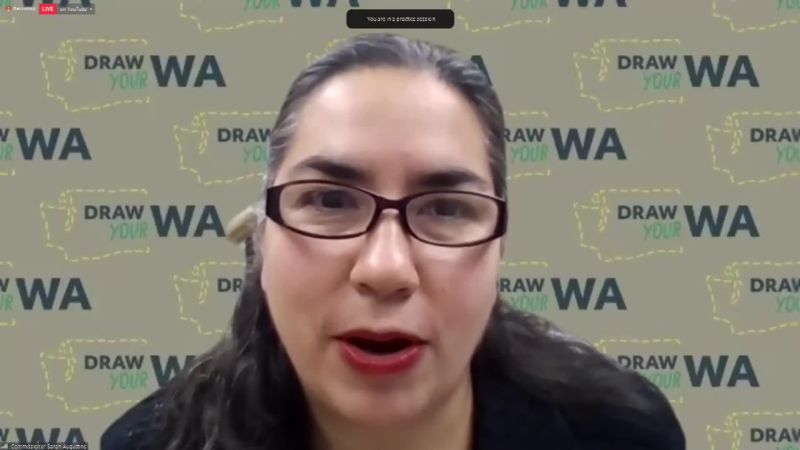 Washington State Redistricting Commission Tvw