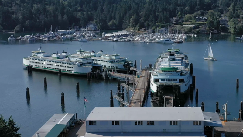 The Impact - New Head of WA State Ferries Talks Strategies for ...