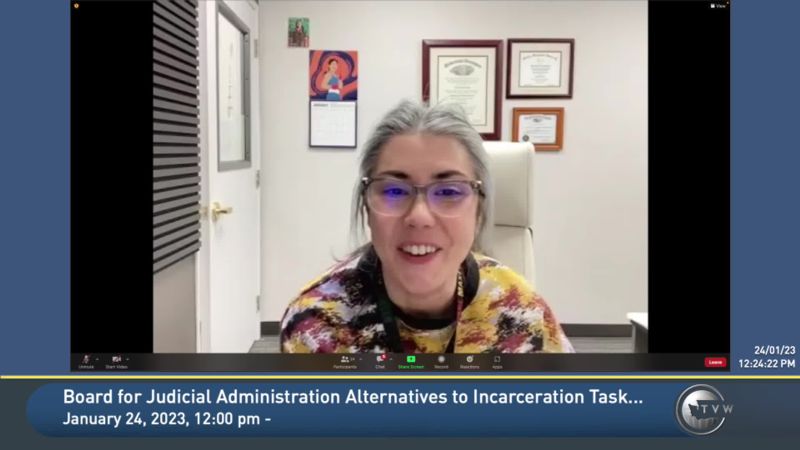 Board for Judicial Administration Alternatives to Incarceration Task Force